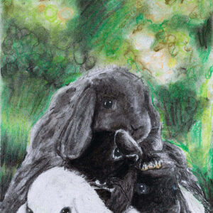 Yin și Yang – puterea unui tot întreg