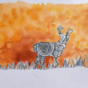 Dimineața la marginea pădurii